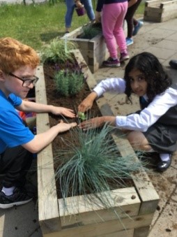 Children planting